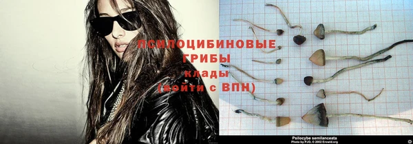экстази Богданович