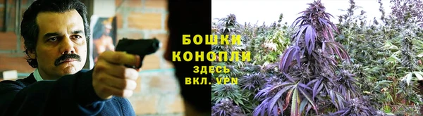 экстази Богданович