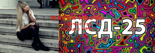 экстази Богданович