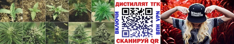 Купить где  Нижнеудинск  ТГК вейп 