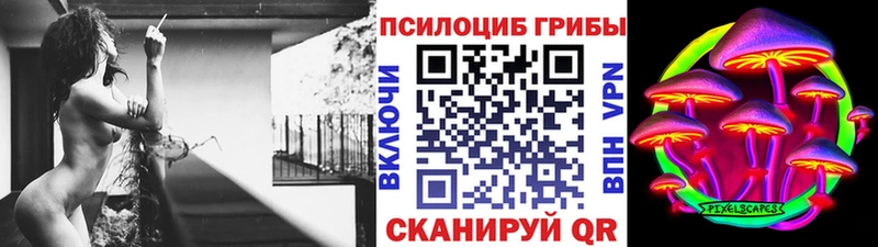 Псилоцибиновые грибы Psilocybine cubensis  Купить закладки  Нижнеудинск 